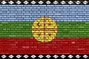 Latin America State Flags Drucke: Flag of Mapuche painted on brick wall