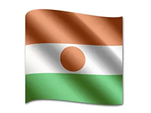 African National Flag Drucke: Flag of Niger