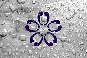 Empty Orchard Scene Drucke: Flag of Sakura with rain drops