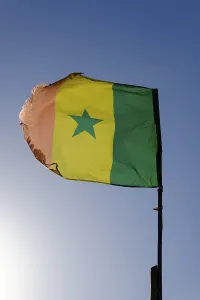 Senegal Flag Drucke: Flag of Senegal