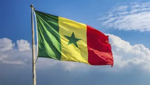 Senegal Flag Drucke: The flag of Senegal, fluttering in the wind
