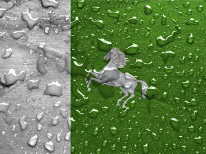 Russian National Colors Drucke: Flag of Tomsk with rain drops