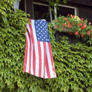 US Flag Design Drucke: Flag of the USA