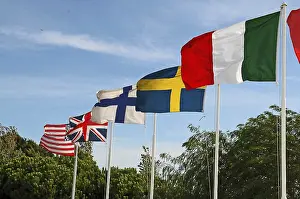 Colorful Flags Drucke: Flaggs