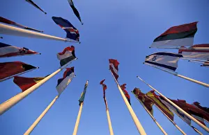 State Flag Design Drucke: Flags