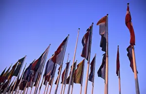 Colorful Flags Drucke: Flags