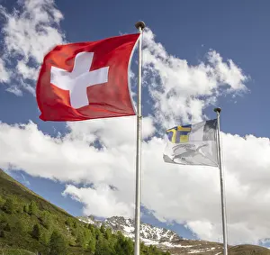 Motion Blur In Europe Drucke: Flags in the wind, wiping effect