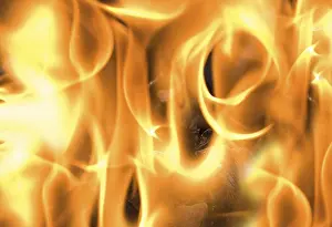 Firewood Burning Drucke: Flames