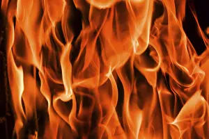 Firewood Burning Drucke: Flames of fire on a black background