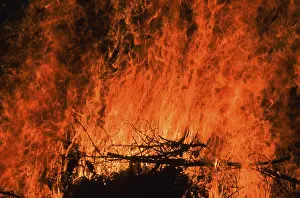 Deserted Fire Scene Drucke: Flames of a large fire, blaze