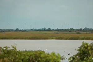 Eco Friendly Power Generation Drucke: A flat landscape with wind turbines