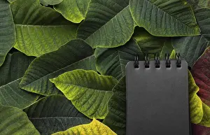 Flat Lay Composition Drucke: Flat lay composition leaves with black notepad