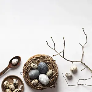 Easter Eggs Concept Drucke: Flat lay easter eggs bird nest with copy space twig