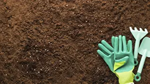 Gardening Hobby Concept Drucke: Flat lay gardening tools with copyspace