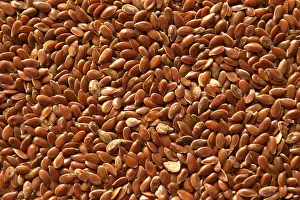 Healthy Eating Patterns Drucke: Flaxseed
