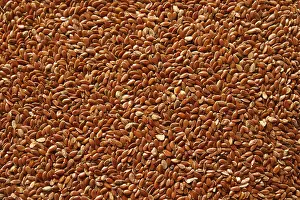 Balanced Diet Grocery Shopping Drucke: Flaxseed