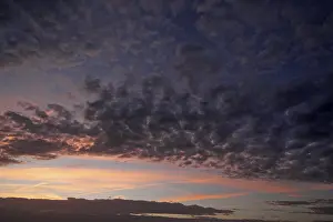 Backlit Cloud Formation Drucke: Fleecy clouds, altocumulus, in the evening sky