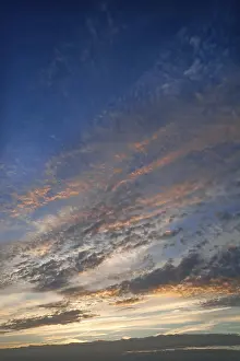 Backlit Cloud Formation Drucke: Fleecy clouds, altocumulus, in the evening sky