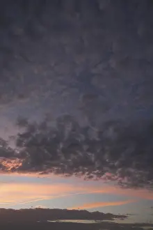 Evening Atmosphere In Germany Drucke: Fleecy clouds, altocumulus, in the evening sky