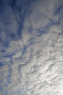 Uninhabited German Landscapes Drucke: Fleecy clouds, altocumulus, Germany