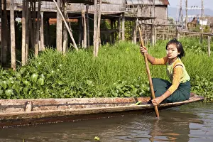 Inle Lake Myanmar Drucke: Floating fields, single-leg rower