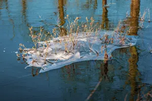 Winter Landscape Germany Drucke: Flooded fields in winter in Germany