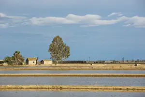 Spanish Countryside Drucke: Flooded rice fields and farmstead