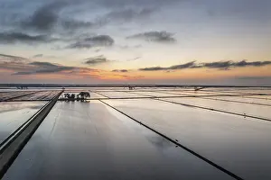 Rice Cultivation In Spain Drucke: Flooded rice fields in May at daybreak