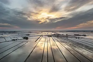 Aerial View Of Flooded Rice Fields Drucke: Flooded rice fields in May at daybreak