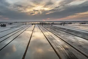 Rice Cultivation In Spain Drucke: Flooded rice fields in May at daybreak