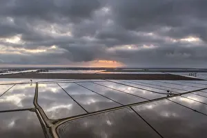 Rice Cultivation In Spain Drucke: Flooded rice fields in May at daybreak