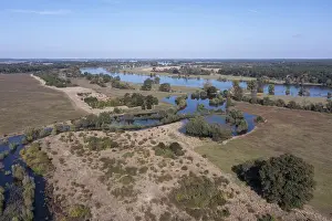 Elbe River Germany Drucke: Floodplain of the Elbe, Glindenberg