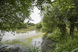 Art Museum In Europe Drucke: Floodplain landscape of the Erft