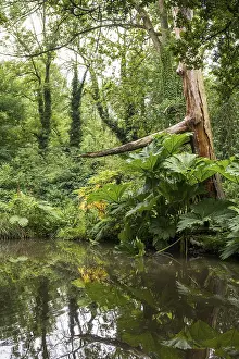 Floodplain Landscape Drucke: Floodplain landscape of the Erft