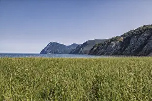 European Countryside Views Drucke: Flora of Kamchatka. Forests and fields