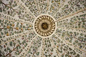 Ornate Floral Design Example Drucke: Floral art pattern example of the Ottoman time