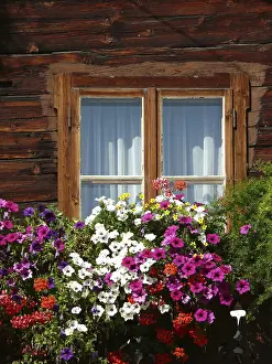 Deserted Farmhouse Drucke: Flower balcony