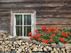 Deserted Farmyard Scene Drucke: Flower window