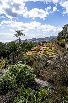 Southern Europe Gardens Drucke: Flowerbeds with pattern, Botanical Garden
