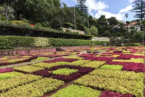 Portuguese Gardens Drucke: Flowerbeds and plants laid out as samples