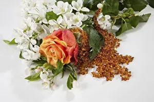 Isolated Flower Arrangement Drucke: Flowers and fabric on a studio background