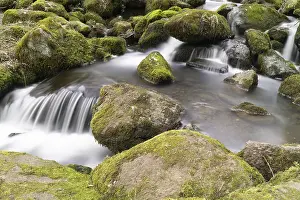 Deserted Jungle River Scene Drucke: Flowing motion of Waterfall, Nenderoth