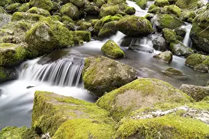 German Cascade Photography Drucke: Flowing motion of Waterfall, Nenderoth