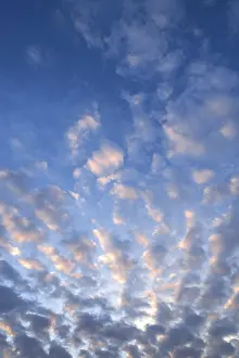 Deserted Evening Landscapes Drucke: Fluffy clouds, altocumulus clouds