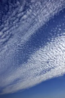 Northern Germany Europe Drucke: Fluffy clouds or cirrocumulus clouds