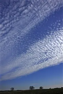 Cirrocumulus Clouds Germany Drucke: Fluffy clouds or cirrocumulus clouds
