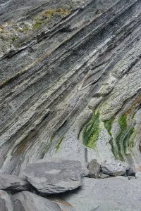 Weathered Rock Structure Drucke: Flysch, rock layer on the coast of Deba