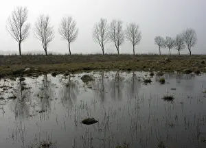 Northern Germany Weather Drucke: In the fog