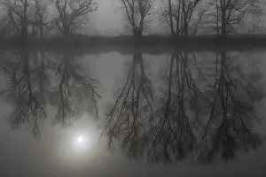 Deserted German Riverbank Drucke: Fog, bare trees reflected in the river