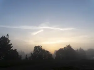 Eastern Germany Scenery Drucke: Fog and dawn between trees and meadows